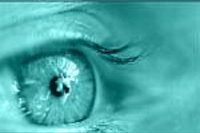 eye & see